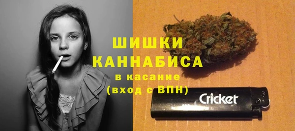 твердый Горнозаводск