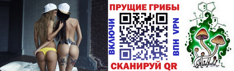 Галлюциногенные грибы MAGIC MUSHROOMS  Чухлома 